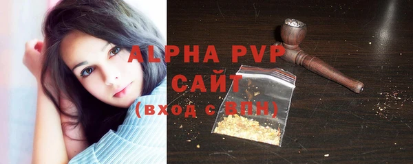 спайс Бородино