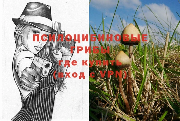 Альфа ПВП Шали