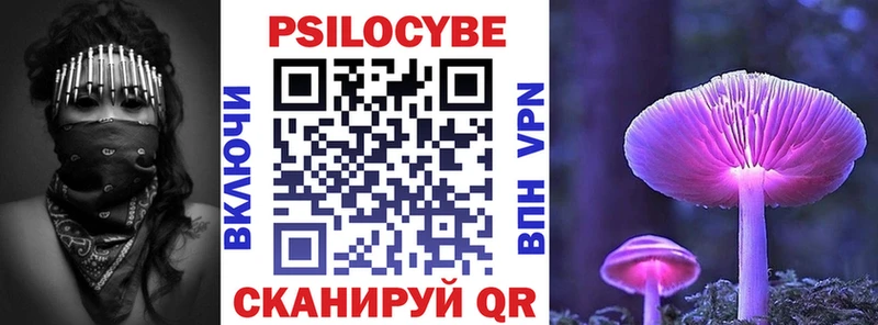 Галлюциногенные грибы Psilocybe  Северск 